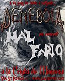 DENEBOLA + MAL FARIO